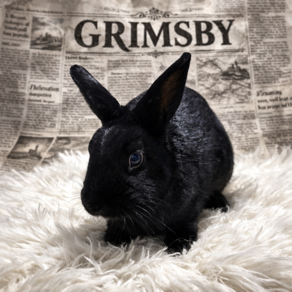 GRIMSBY